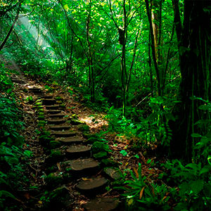 mombacho volcano nicaragua